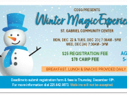 WINTER MAGIC EXPERIENCE